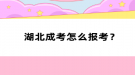 湖北成考怎么報(bào)考？