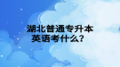 湖北普通專升本英語(yǔ)考什么？