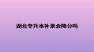 湖北專升本補錄會降分嗎