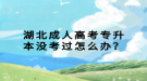 湖北成人高考專升本沒考過怎么辦？