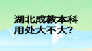 湖北成教本科用處大不大？