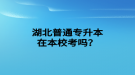 湖北普通專升本在本?？紗?？