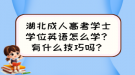 湖北成人高考學士學位英語怎么學？有什么技巧嗎？