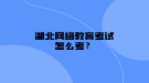 湖北網(wǎng)絡(luò)教育考試怎么考？
