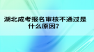 湖北成考報(bào)名審核不通過(guò)是什么原因？