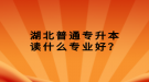 湖北普通專升本讀什么專業(yè)好？