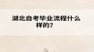 湖北自考畢業(yè)流程什么樣的？