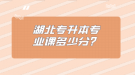 湖北專升本專業(yè)課多少分？