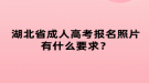 湖北省成人高考報名照片有什么要求？