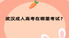 武漢成人高考在哪里考試？