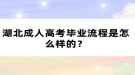 湖北成人高考畢業(yè)流程是怎么樣的？