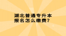 湖北普通專升本報(bào)名怎么繳費(fèi)？