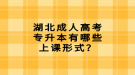 湖北成人高考專升本有哪些上課形式？