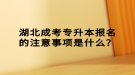 湖北成考專升本報名的注意事項是什么？
