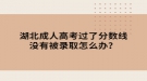 湖北成人高考過了分數線沒有被錄取怎么辦？
