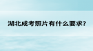 湖北成考照片有什么要求？