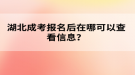 湖北成考報(bào)名后在哪可以查看信息？