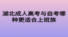 湖北成人高考與自考哪種更適合上班族