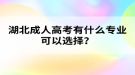 湖北成人高考有什么專業(yè)可以選擇？