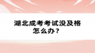 湖北成考考試沒及格怎么辦？