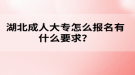 湖北成人高考大專怎么報(bào)名有什么要求？