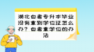 湖北自考專升本畢業(yè)沒有拿到學(xué)位證怎么辦？自考拿學(xué)位的辦法