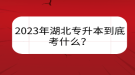 2023年湖北專升本到底考什么？