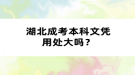 湖北成考本科文憑用處大嗎？