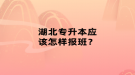 湖北專升本應(yīng)該怎樣報(bào)班？