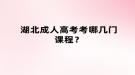 湖北成人高考考哪幾門課程？