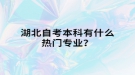 湖北自考本科有什么熱門專業(yè)？
