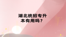 湖北統(tǒng)招專(zhuān)升本有用嗎？