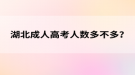 湖北成人高考人數(shù)多不多？