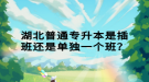 湖北普通專升本是插班還是單獨(dú)一個班？