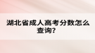 湖北省成人高考分數怎么查詢？