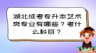 湖北成考專升本藝術(shù)類專業(yè)有哪些？考什么科目？
