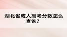 湖北省成人高考分?jǐn)?shù)怎么查詢？