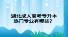 湖北成人高考專升本熱門專業(yè)有哪些？