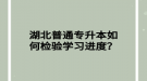 湖北普通專升本如何檢驗學習進度？