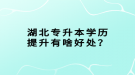 湖北專升本學歷提升有啥好處？