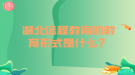 湖北遠程教育的教育形式是什么？