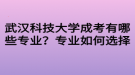 武漢科技大學(xué)成考有哪些專業(yè)？專業(yè)如何選擇