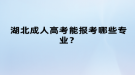 湖北成人高考能報(bào)考哪些專業(yè)？