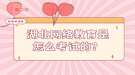 湖北網(wǎng)絡(luò)教育是怎么考試的？