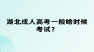 湖北成人高考一般啥時(shí)候考試？