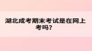 湖北成考期末考試是在網(wǎng)上考嗎？