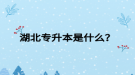 湖北專升本是什么？