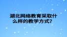 湖北網(wǎng)絡(luò)教育采取什么樣的教學(xué)方式？