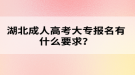 湖北成人高考大專報(bào)名有什么要求？