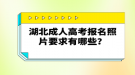 湖北成人高考報名照片要求有哪些？